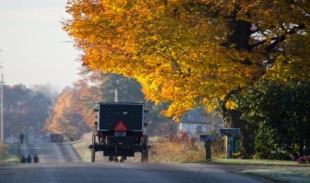 Full Day Amish Country Guided Tour
